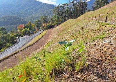 Landscape Function Analysis and its role in the Bogong Slip Rectification Works