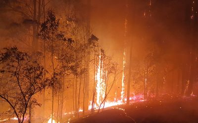Bushfire hazard assessment: why you need an expert