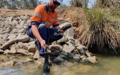 What do you do as an environmental consultant?