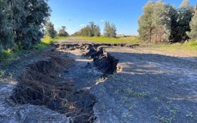 Integrating Climate Resilience into Local Infrastructure