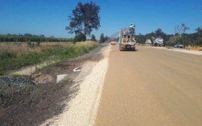Linear Infrastructure Project Revegetation: lessons learnt