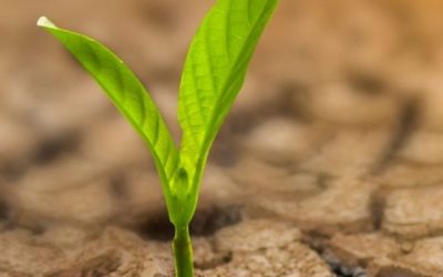 What are the main benefits of mine site rehabilitation?