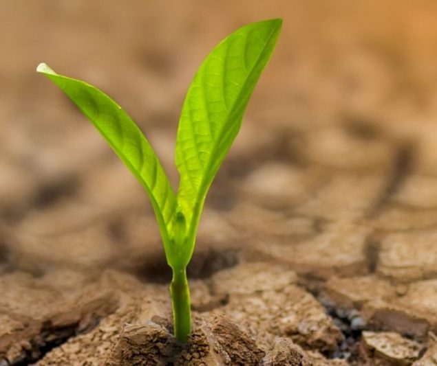 What are the main benefits of mine site rehabilitation?