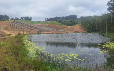 Water Management in Intensive Agriculture